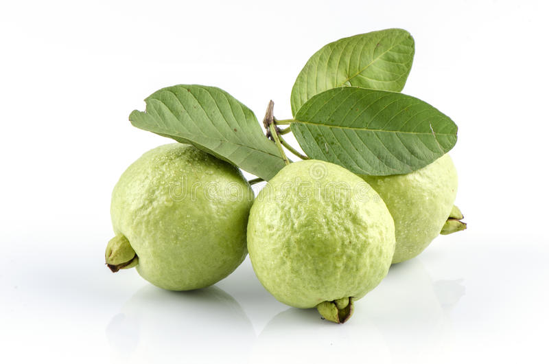 Manfaat Daun Jambu Biji (Psidium guajava Linn.) Bagi Kesehatan